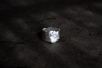 The Traveler's Ring