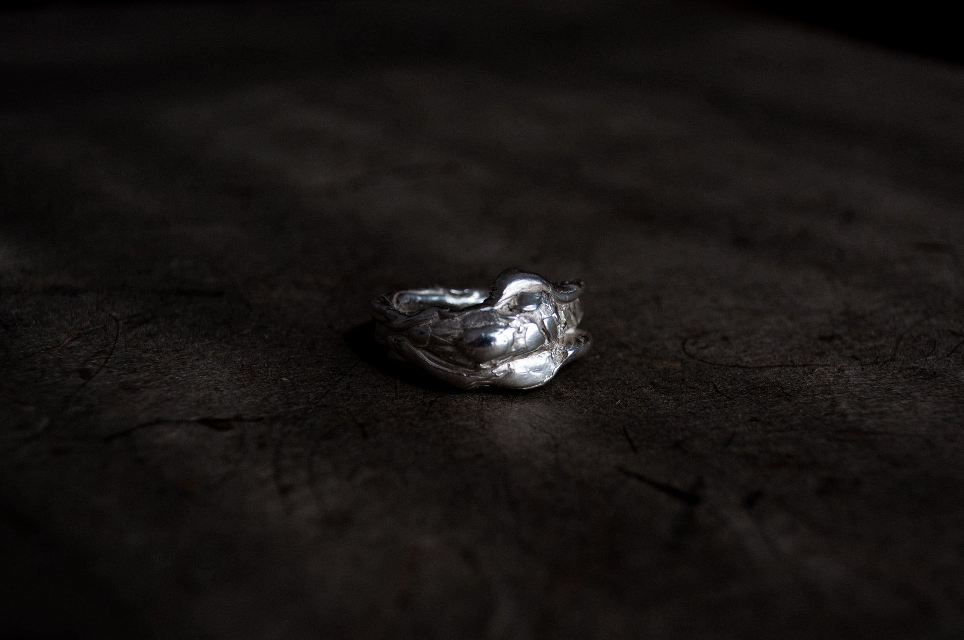 The Jungle's Signet