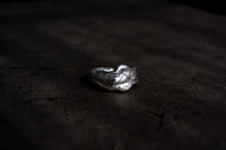The Jungle's Signet